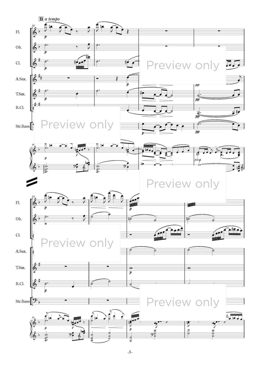 Suite Bergamasque - Woodwind & String Bass Septet Chamber Music scores gallery preview page 4