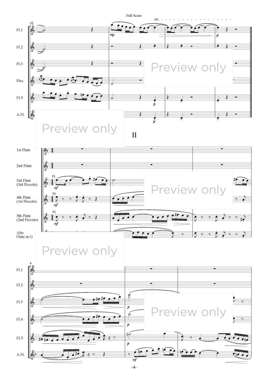 Brindavan - Flute Sextet Brindavan - Flute Sextet Flute Duet scores gallery preview page 5