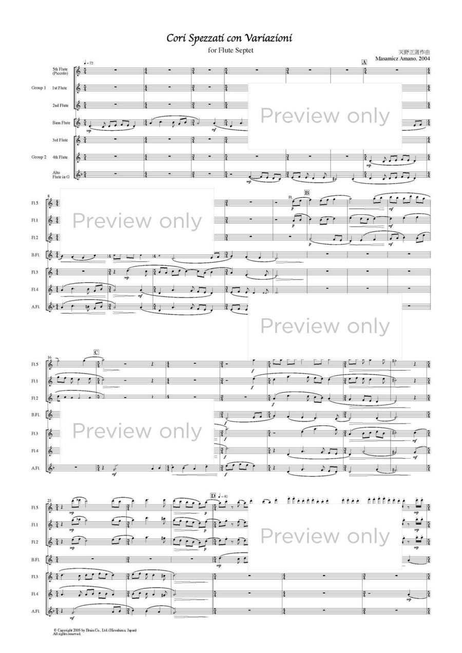 Cori Spezzati con Variazioni - Flute Septet Flute Quartet scores gallery preview page 2