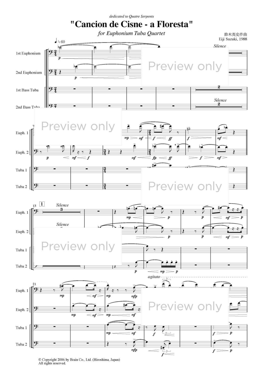Canción de Cisne - Euphonium & Tuba Quartet Tuba Quartet scores gallery preview page 2