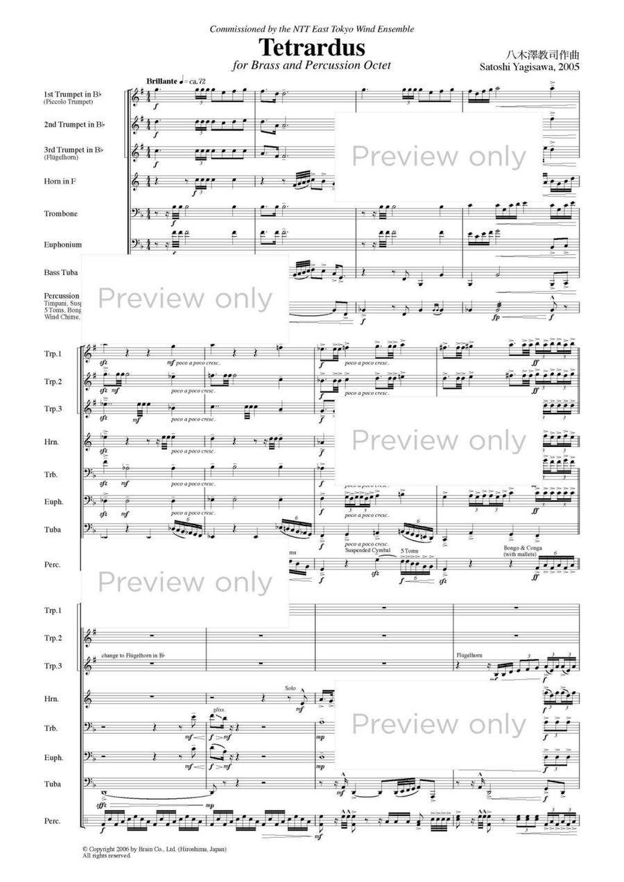 Tetrardus - Brass & Percussion Octet Chamber Music scores gallery preview page 2