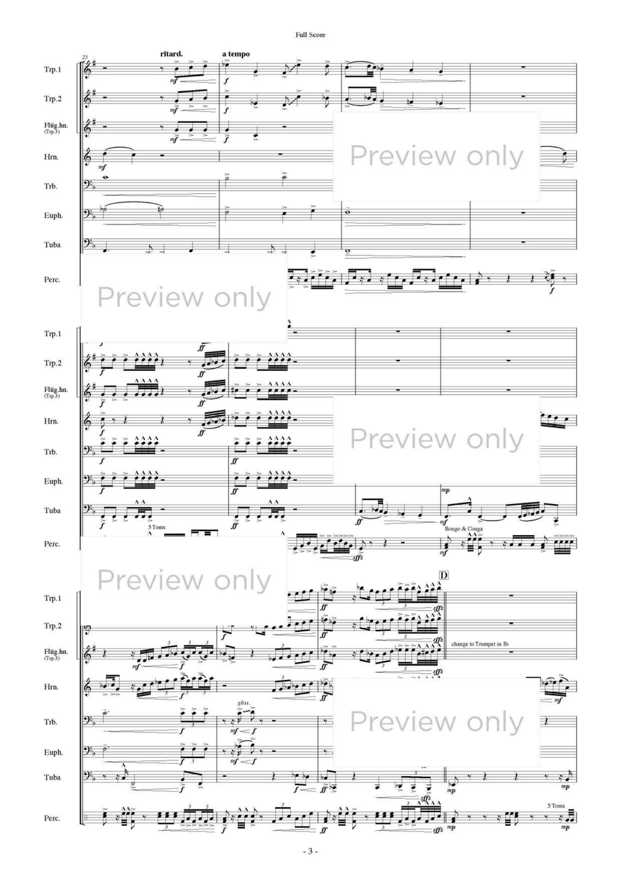 Tetrardus - Brass & Percussion Octet Chamber Music scores gallery preview page 4