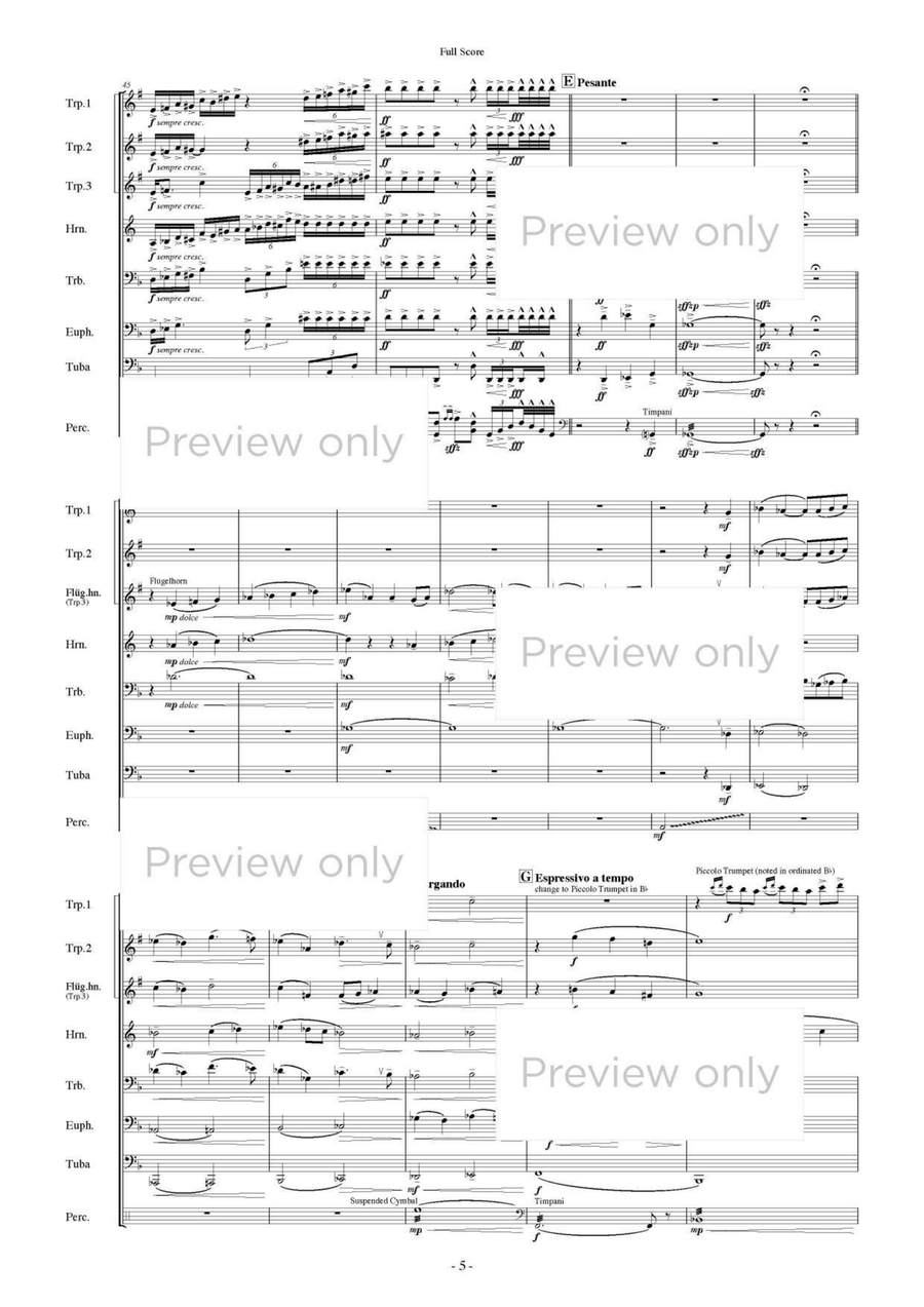 Tetrardus - Brass & Percussion Octet Chamber Music scores gallery preview page 6