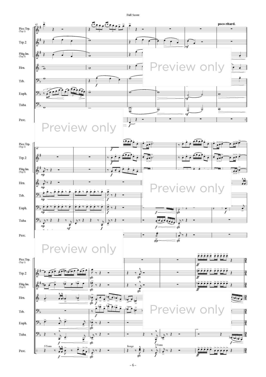 Tetrardus - Brass & Percussion Octet Chamber Music scores gallery preview page 7
