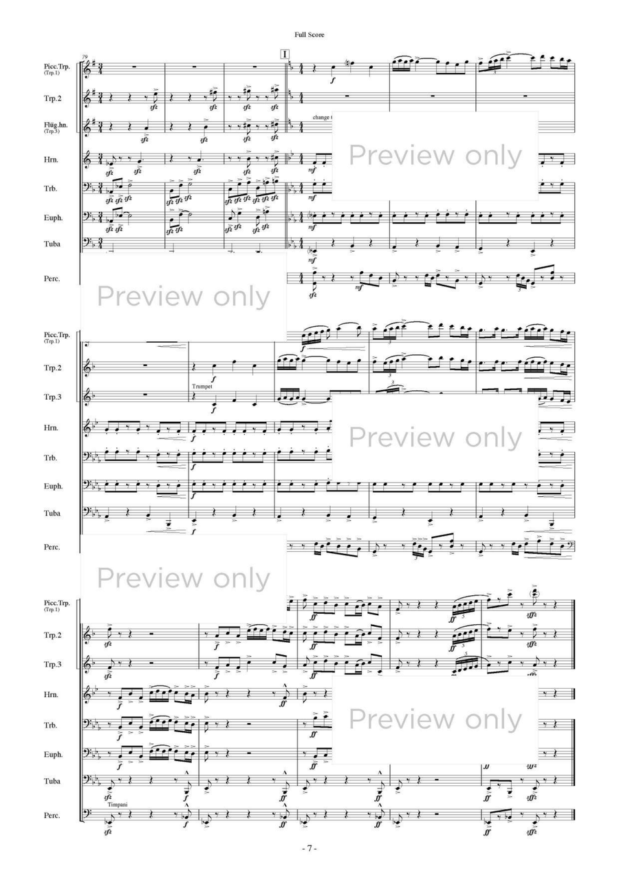 Tetrardus - Brass & Percussion Octet Chamber Music scores gallery preview page 8