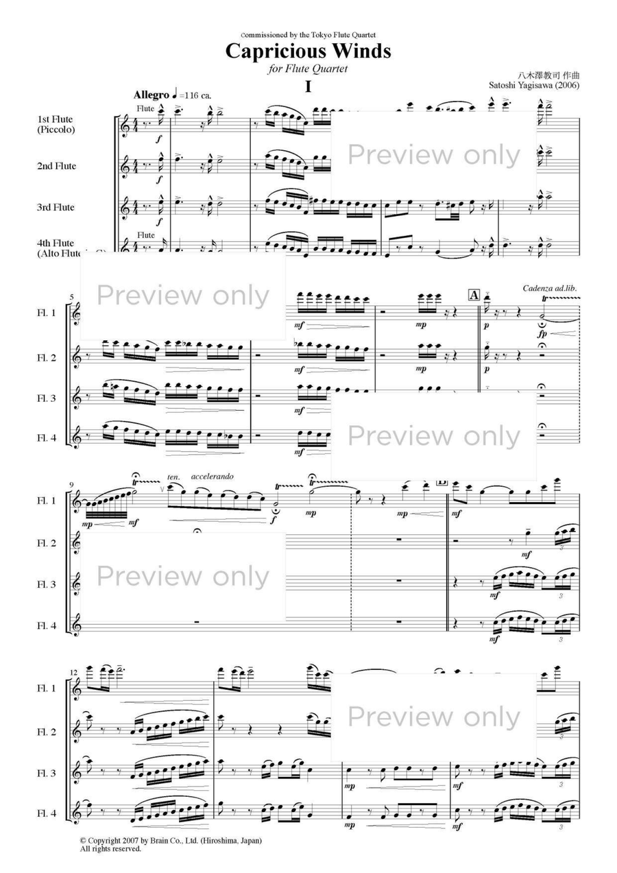 Capricious Winds - Flute Quartet Flute Quartet scores gallery preview page 2