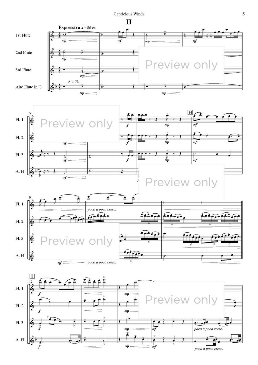 Capricious Winds - Flute Quartet Flute Quartet scores gallery preview page 6