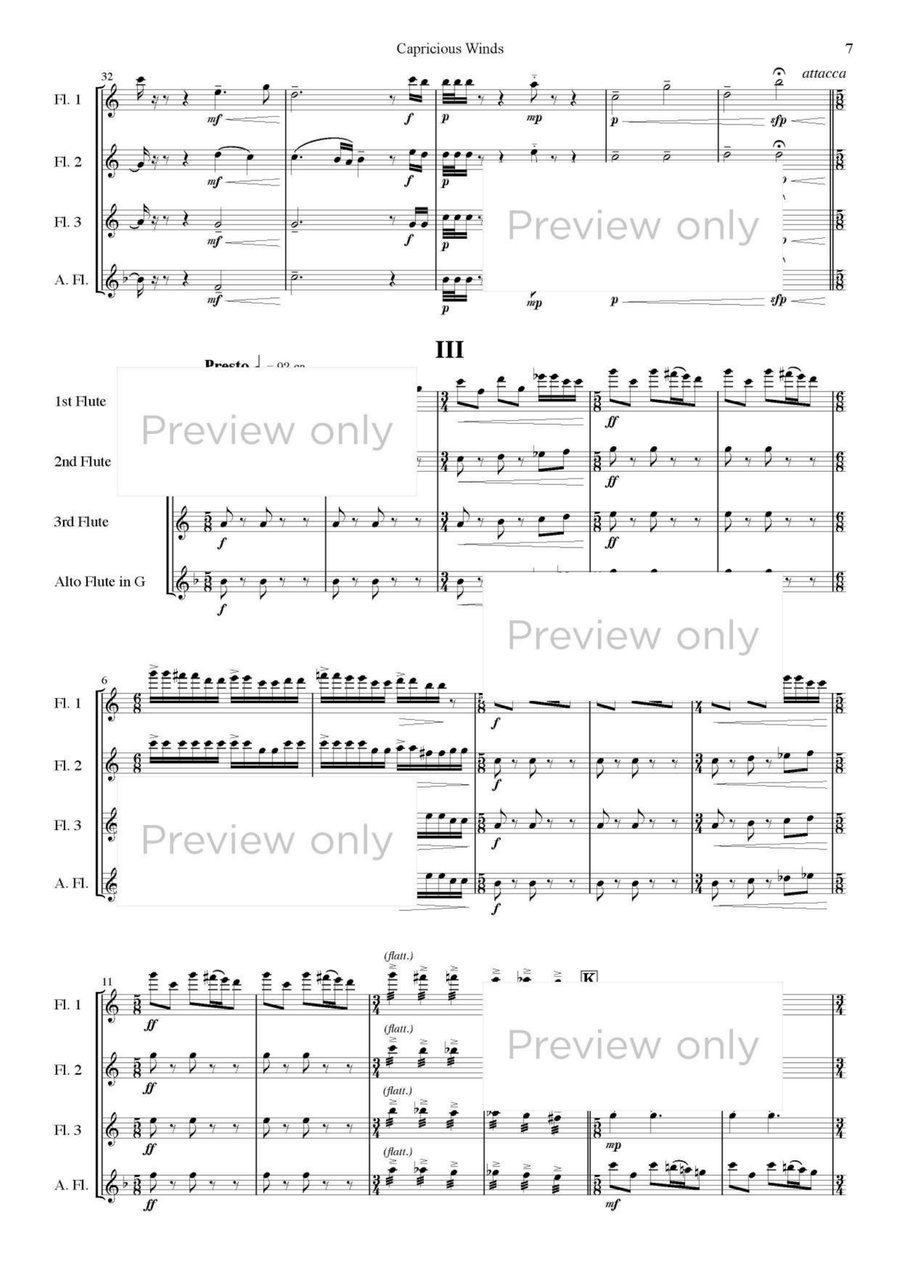 Capricious Winds - Flute Quartet Flute Quartet scores gallery preview page 8