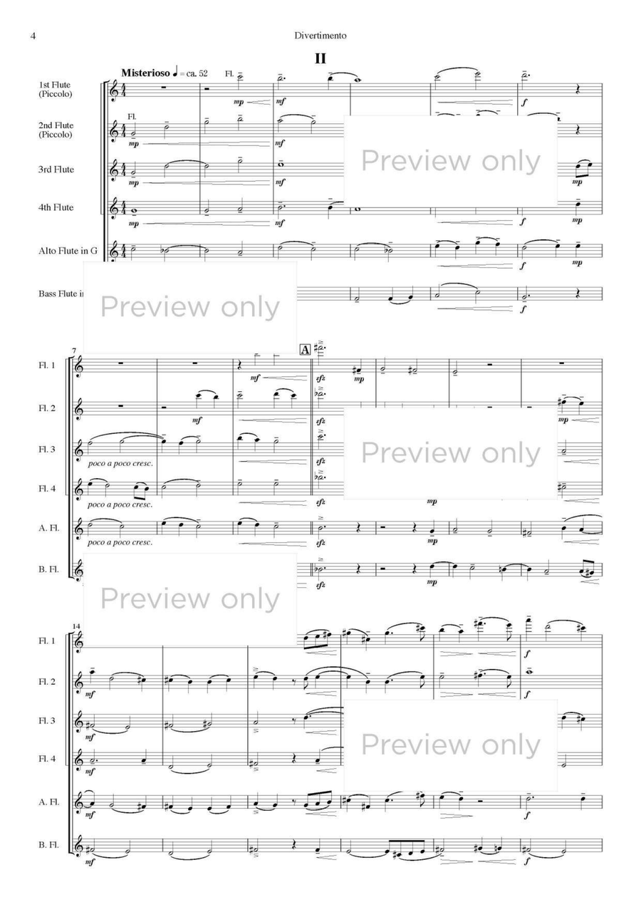 Divertimento - Flute Sextet Flute Duet scores gallery preview page 5