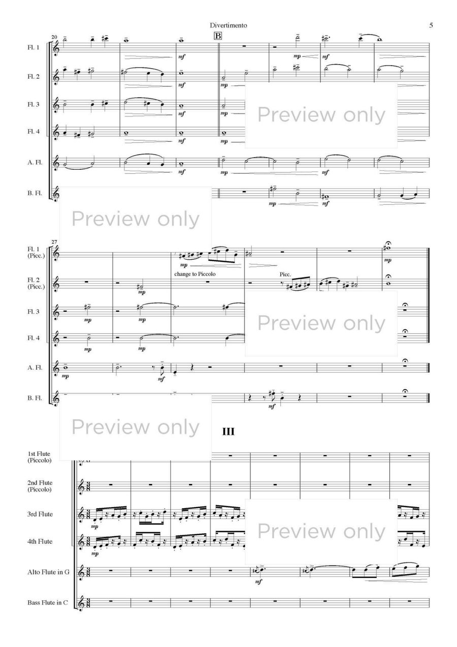 Divertimento - Flute Sextet Flute Duet scores gallery preview page 6