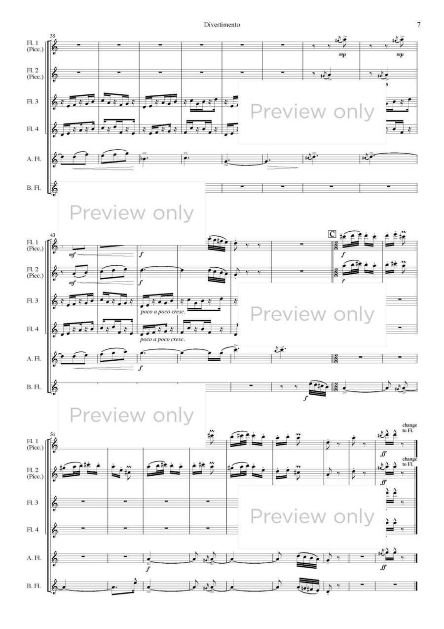 Divertimento - Flute Sextet Flute Duet scores gallery preview page 8