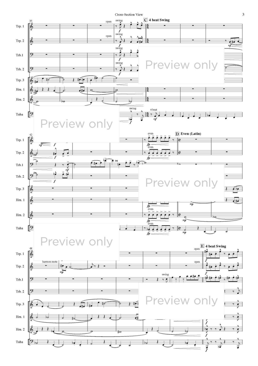 Cross-Section View - Brass Octet Horn scores gallery preview page 4