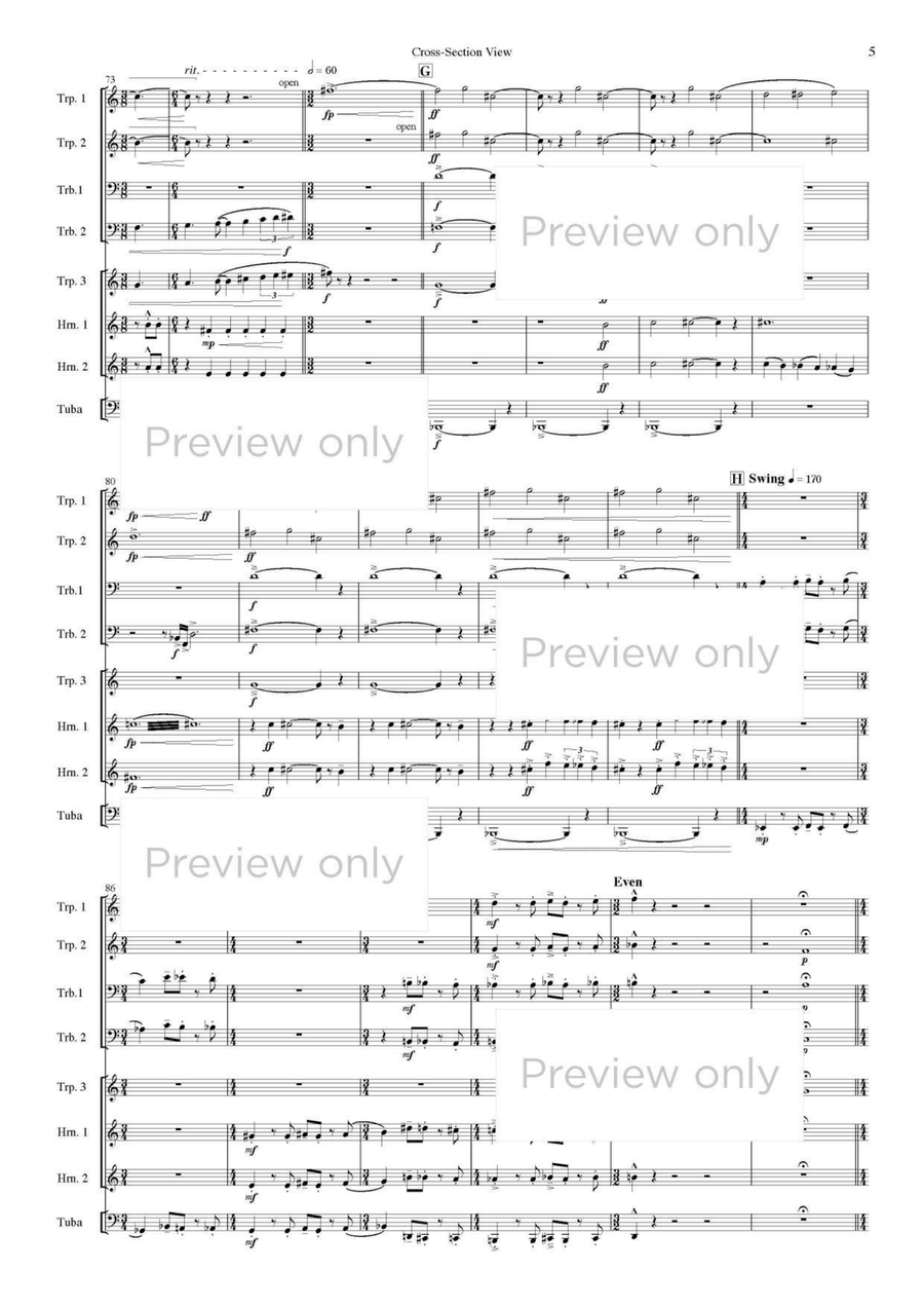 Cross-Section View - Brass Octet Horn scores gallery preview page 6