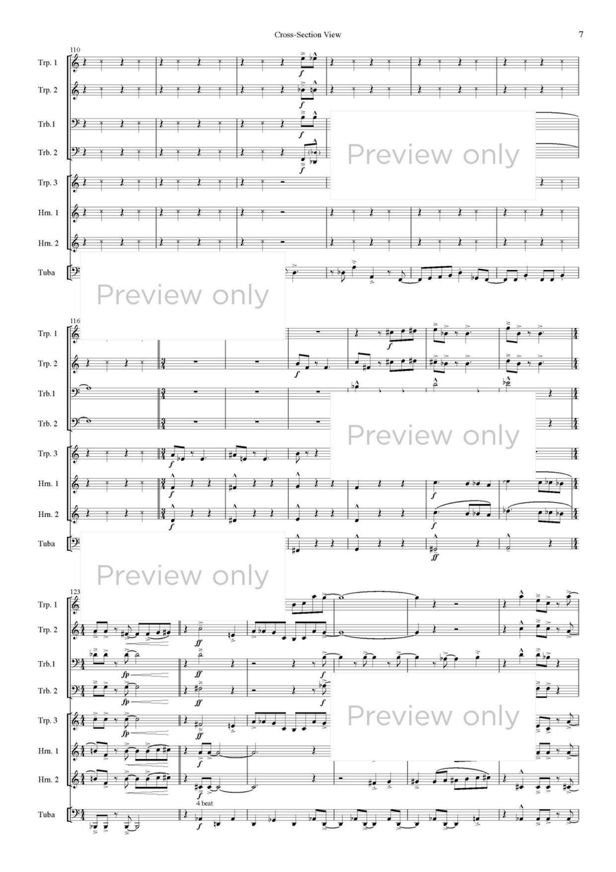 Cross-Section View - Brass Octet Horn scores gallery preview page 8