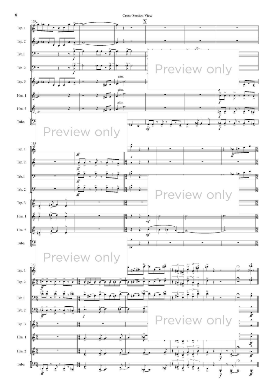 Cross-Section View - Brass Octet Horn scores gallery preview page 9