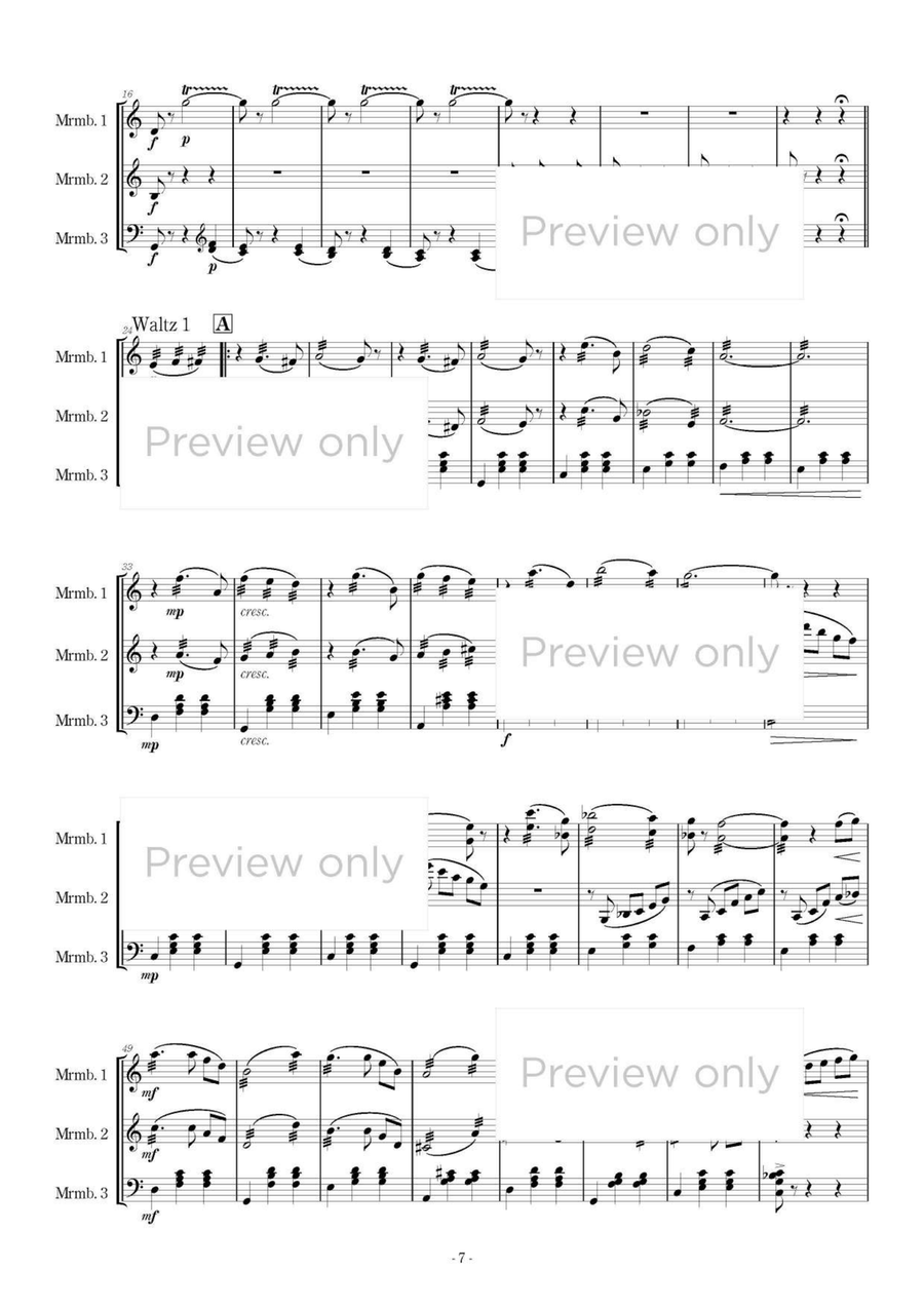 Divertimento - Marimba Trio 5-Octaves scores gallery preview page 8