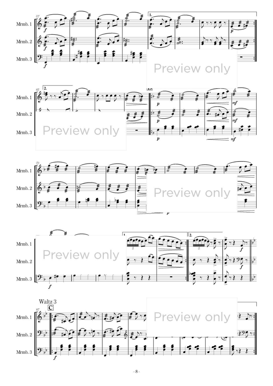 Divertimento - Marimba Trio 5-Octaves scores gallery preview page 9