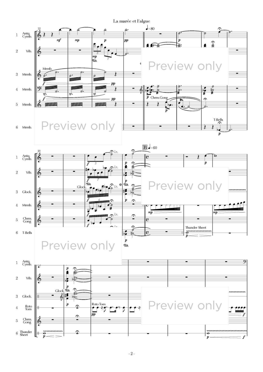 La marée et l'algue - Percussion Sextet Chamber Music scores gallery preview page 3