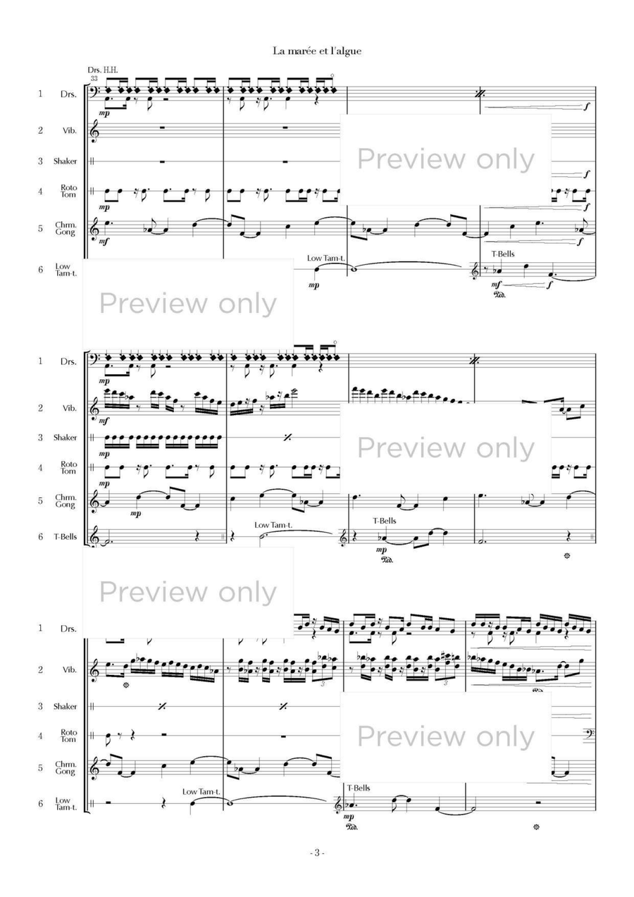 La marée et l'algue - Percussion Sextet Chamber Music scores gallery preview page 4