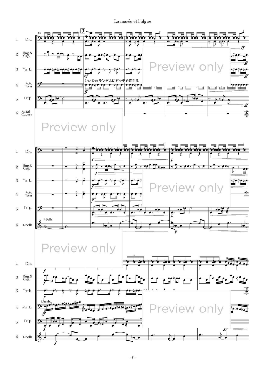 La marée et l'algue - Percussion Sextet Chamber Music scores gallery preview page 8