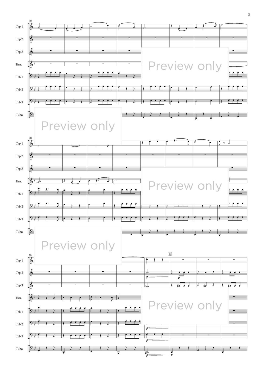 Sunflower Blossomed Hill - Brass Octet Horn scores gallery preview page 4