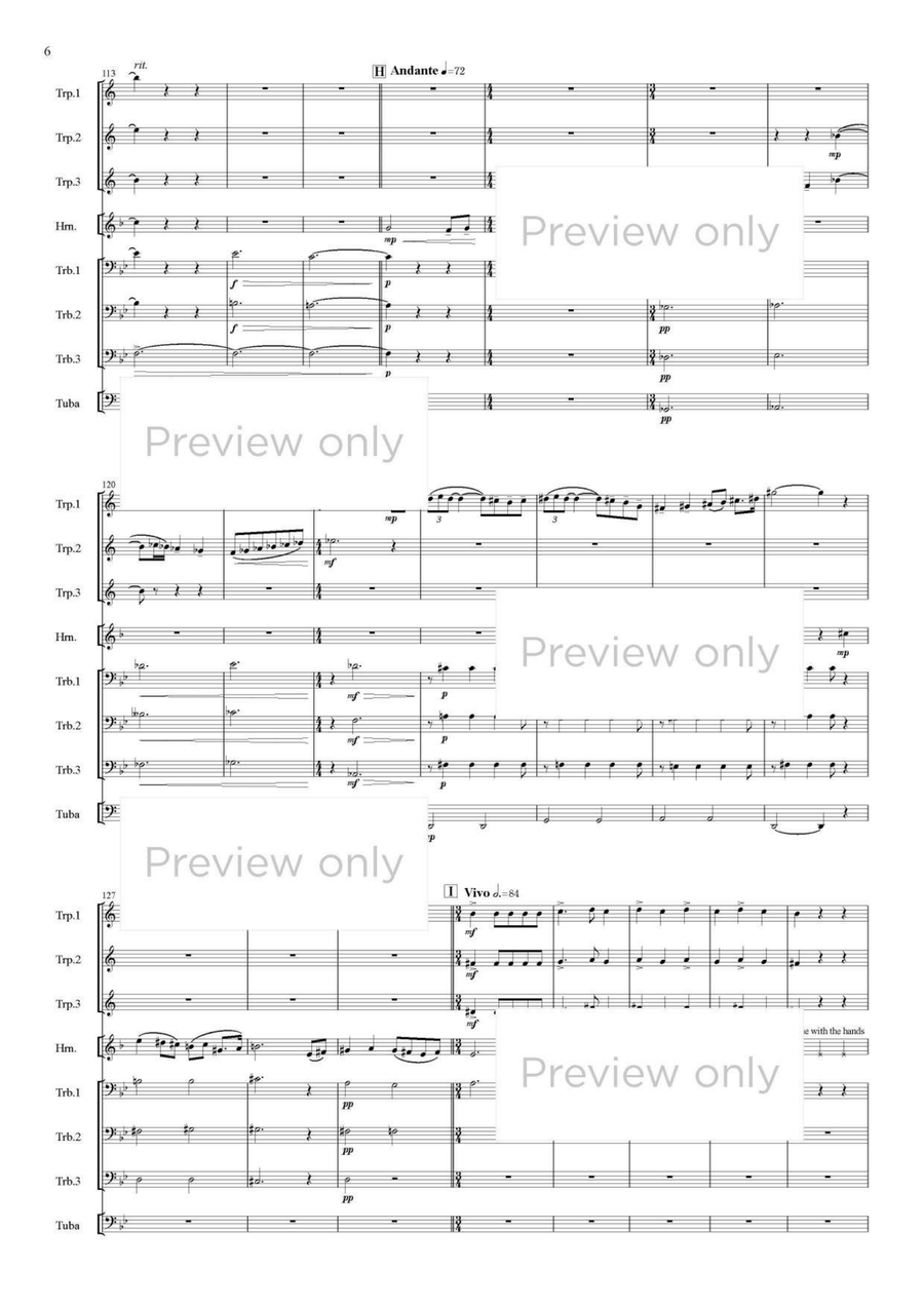 Sunflower Blossomed Hill - Brass Octet Horn scores gallery preview page 7