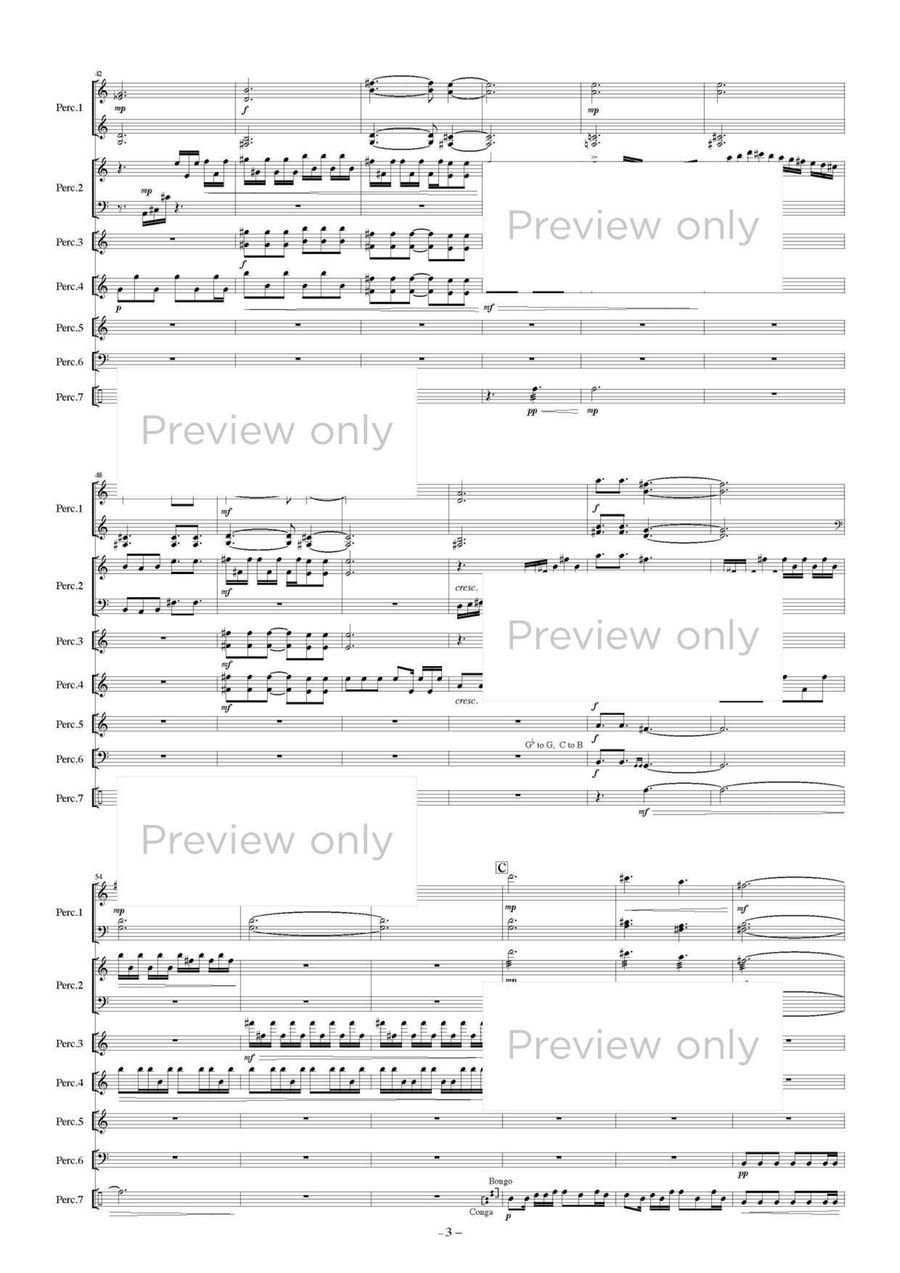 All the Birds return to Earth - Percussion Septet Chamber Music scores gallery preview page 4