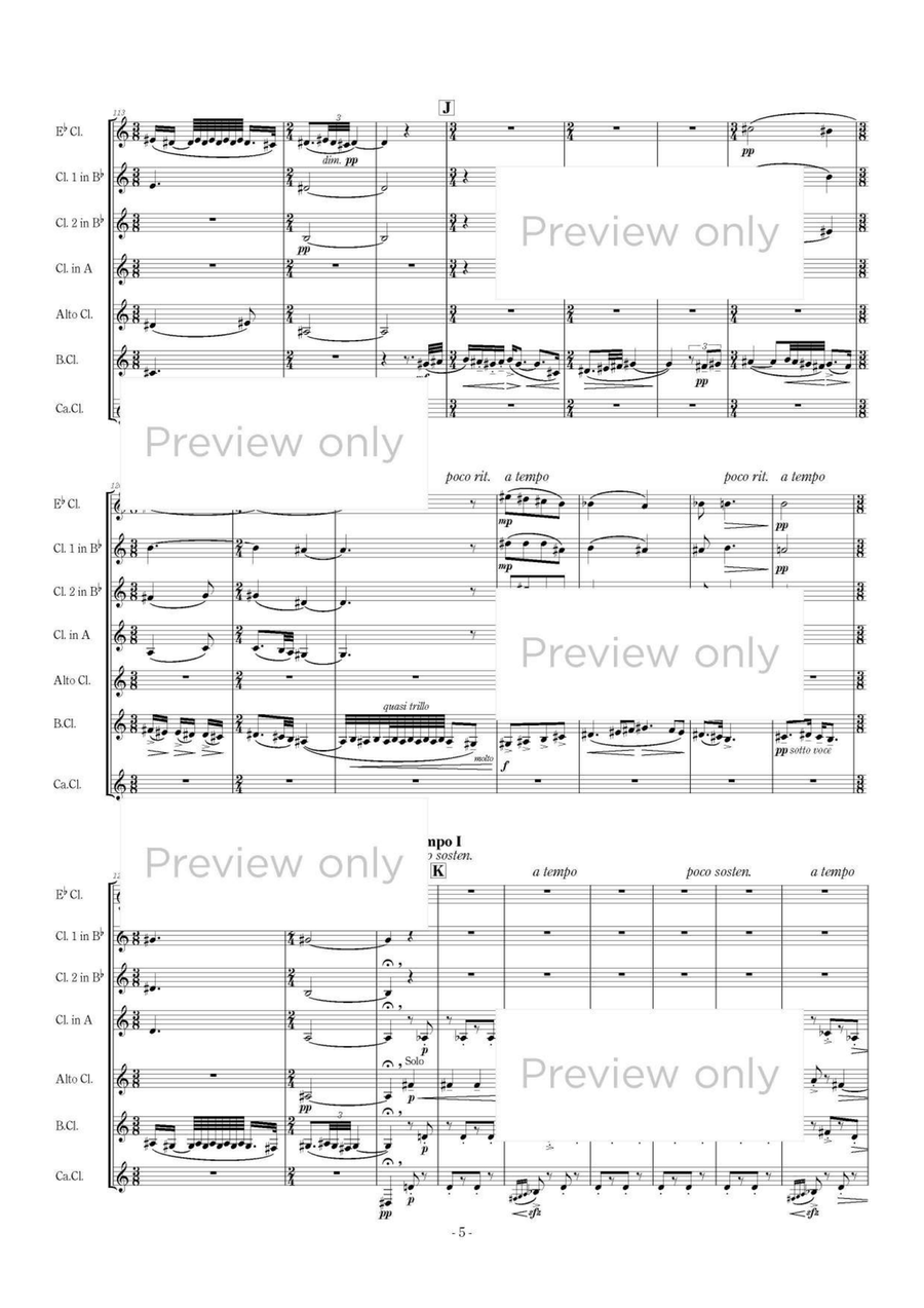 Allegro barbaro - Clarinet Septet Chamber Music scores gallery preview page 6