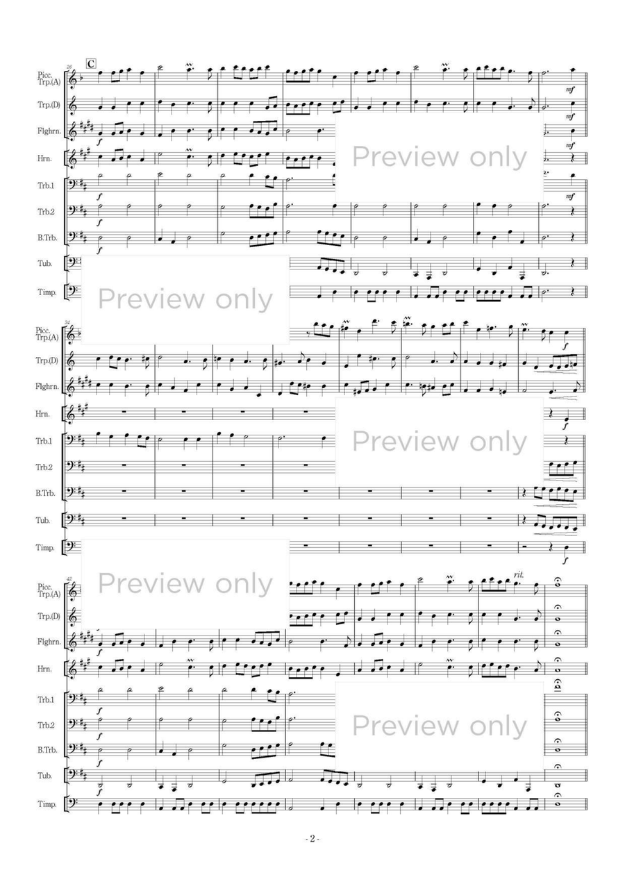 Te Deum - Brass Octet Te Deum - Brass Octet Flugelhorn scores gallery preview page 3