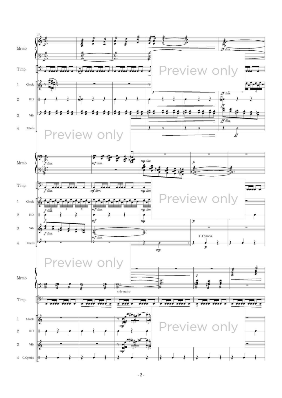 Concerto for Marimba, Timpani & Percussion Quartet Chamber Music scores gallery preview page 3