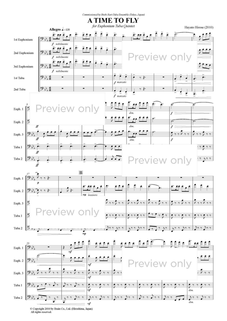 A Time to Fly - Euphonium & Tuba Quintet Euphonium Trio scores gallery preview page 2