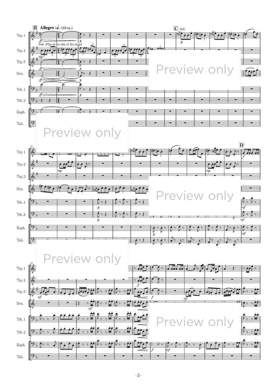Carmen Rhapsody - Brass Octet Euphonium scores gallery preview page 3
