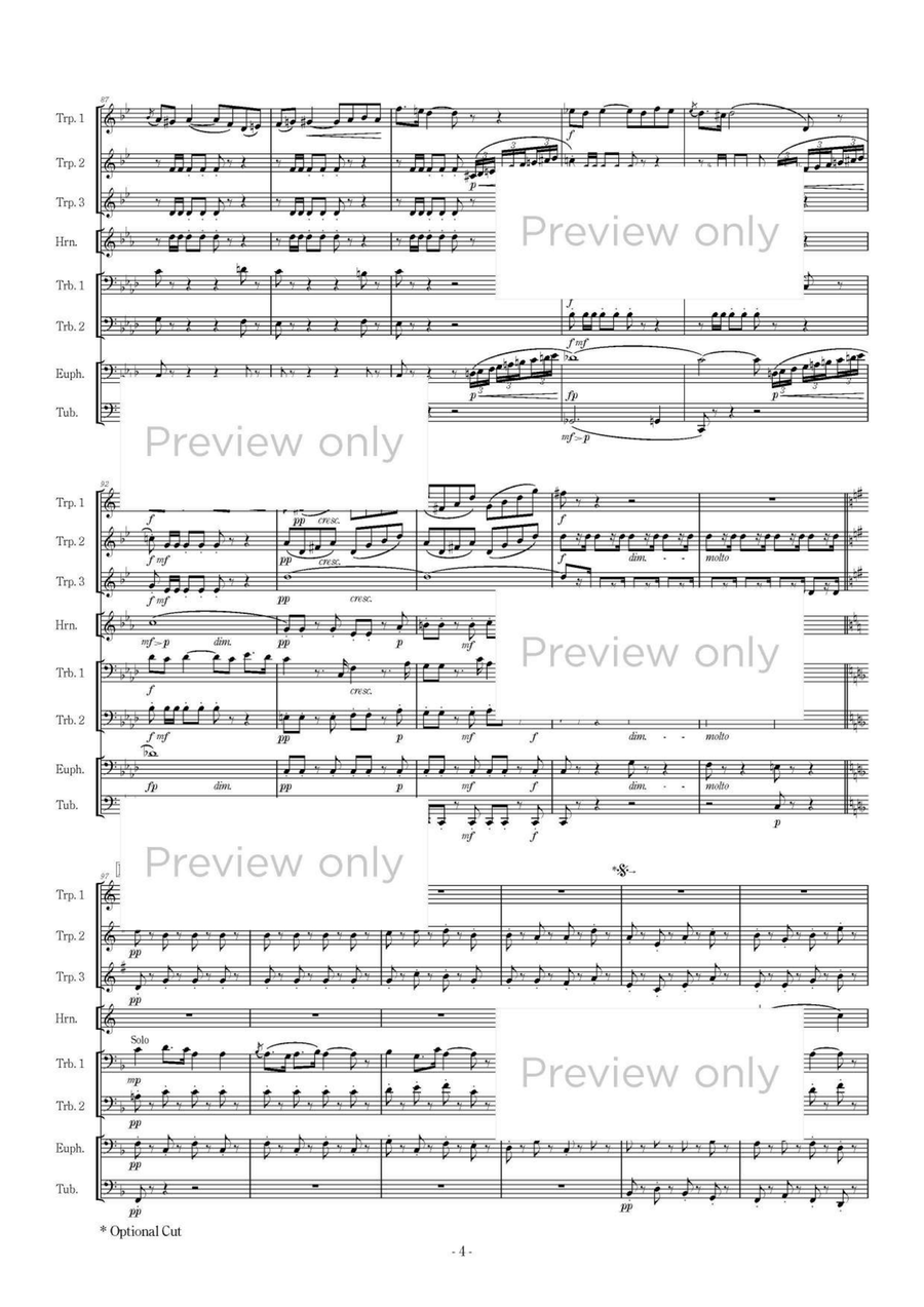 Carmen Rhapsody - Brass Octet Euphonium scores gallery preview page 5