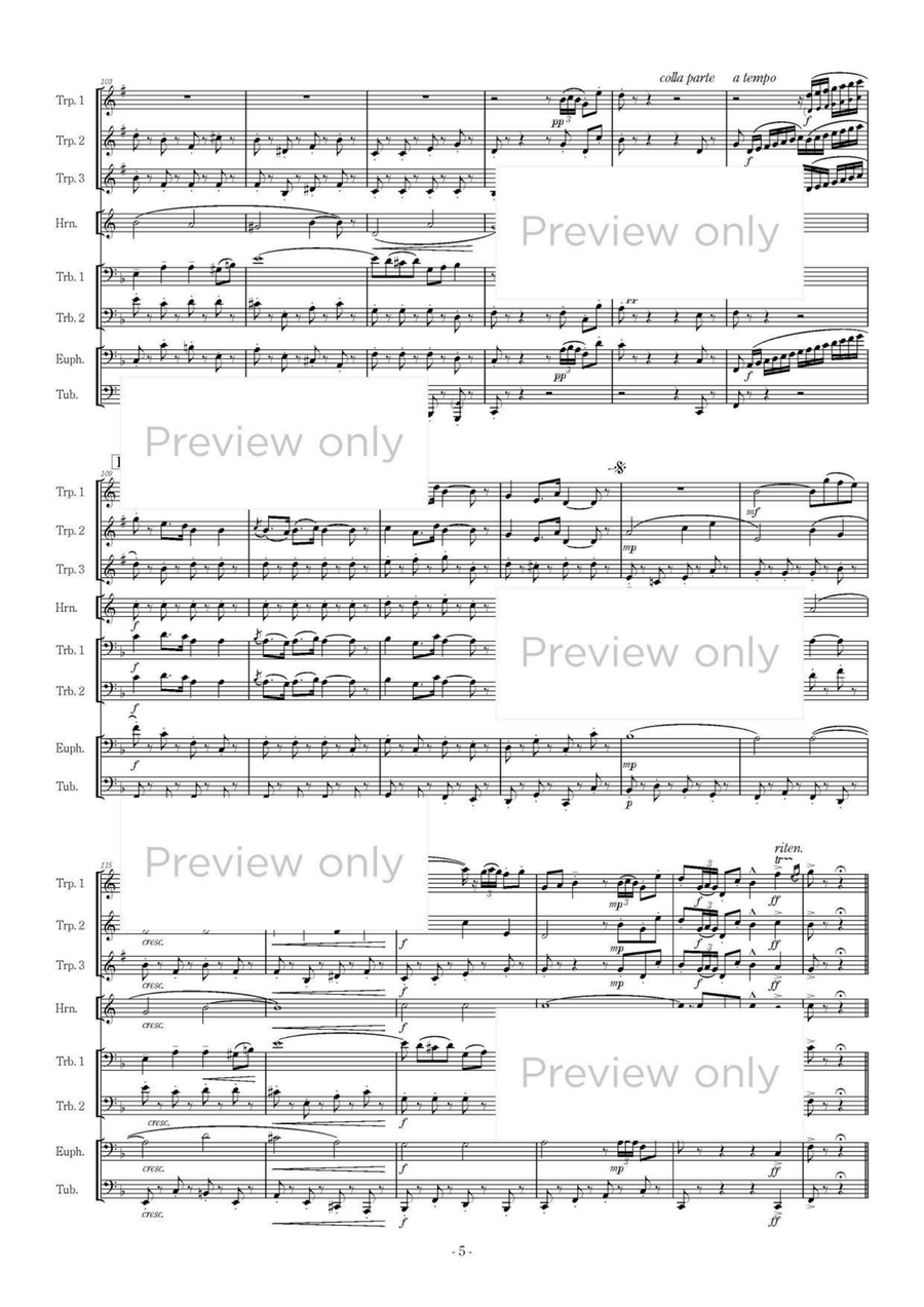 Carmen Rhapsody - Brass Octet Euphonium scores gallery preview page 6