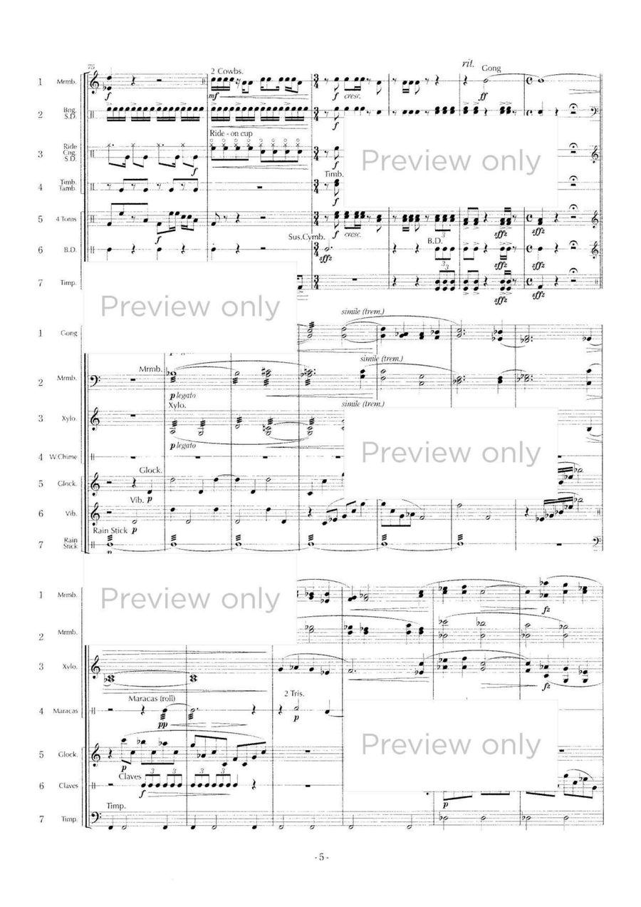Eternal Times or Drops - Percussion Septet Chamber Music scores gallery preview page 6