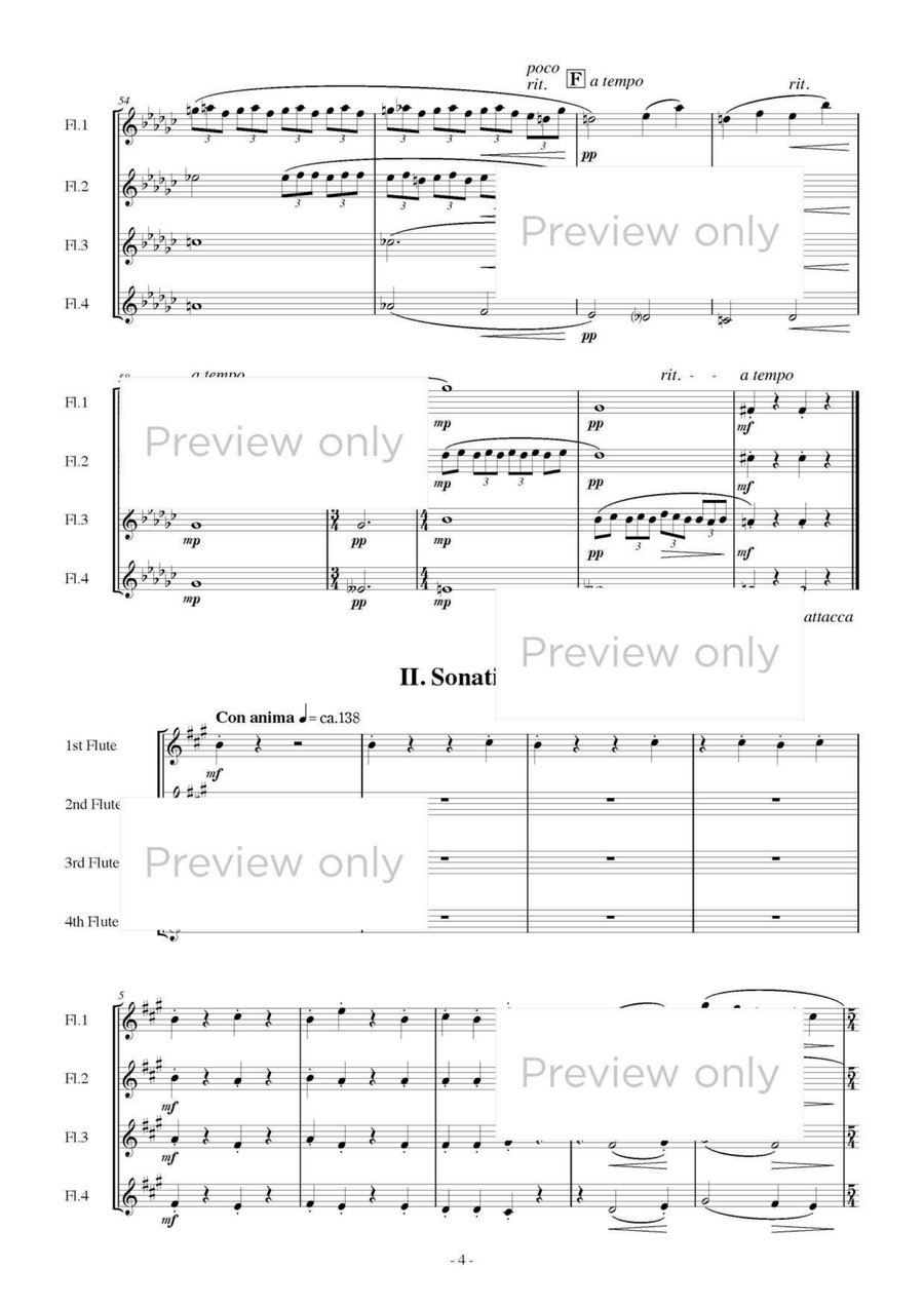 Seen by Grove and Mist - Flute Quartet Flute Quartet scores gallery preview page 5