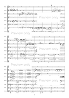 Chaconne from J.S. Bach Partita II for Solo Violin in D minor - Clarinet Octet Clarinet Quartet scores gallery preview page 3