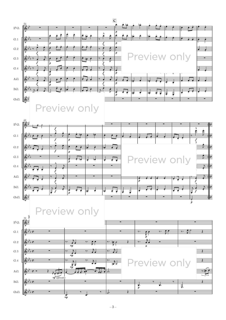 Hungarian Rhapsody No. 6 - Clarinet Octet Clarinet Quartet scores gallery preview page 4