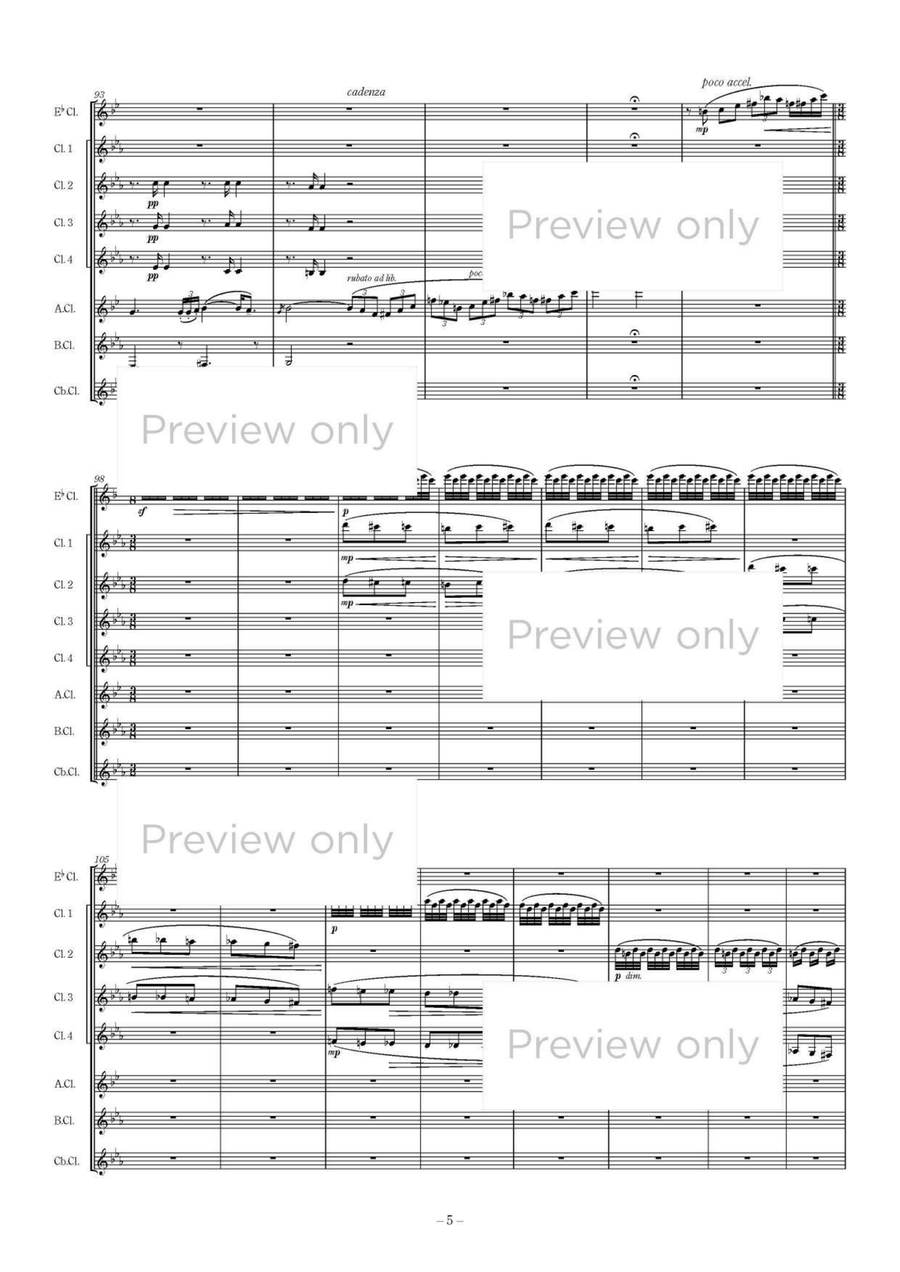 Hungarian Rhapsody No. 6 - Clarinet Octet Clarinet Quartet scores gallery preview page 6