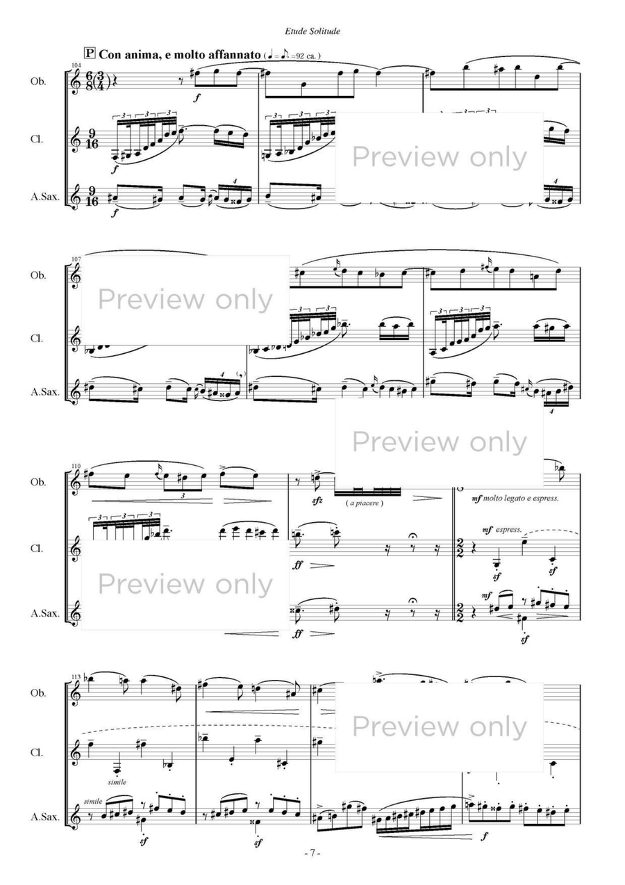 Etude Solitude - Woodwind Trio Woodwind Trio scores gallery preview page 8