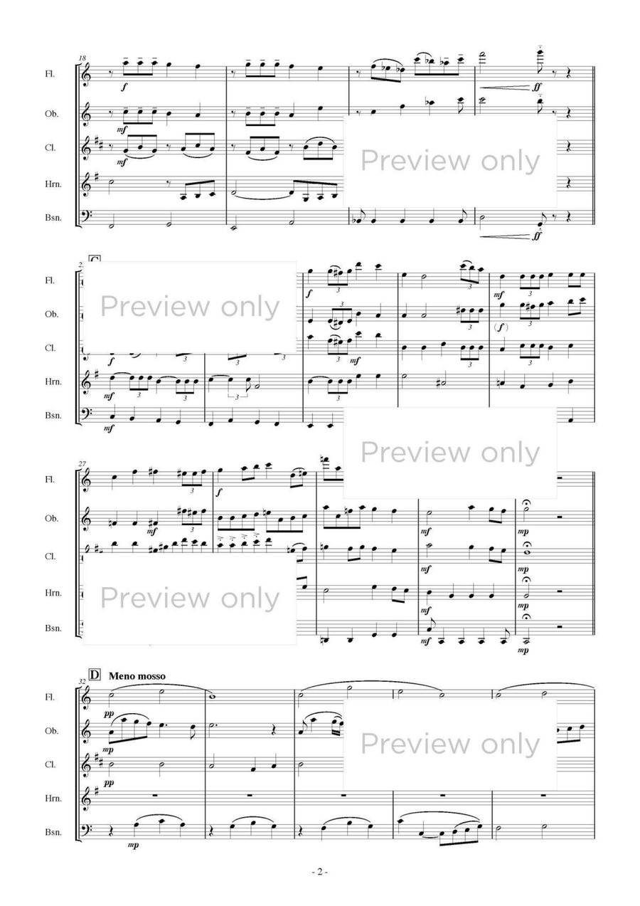 Hill of Mécénat - Woodwind Quintet Woodwind Quintet scores gallery preview page 3