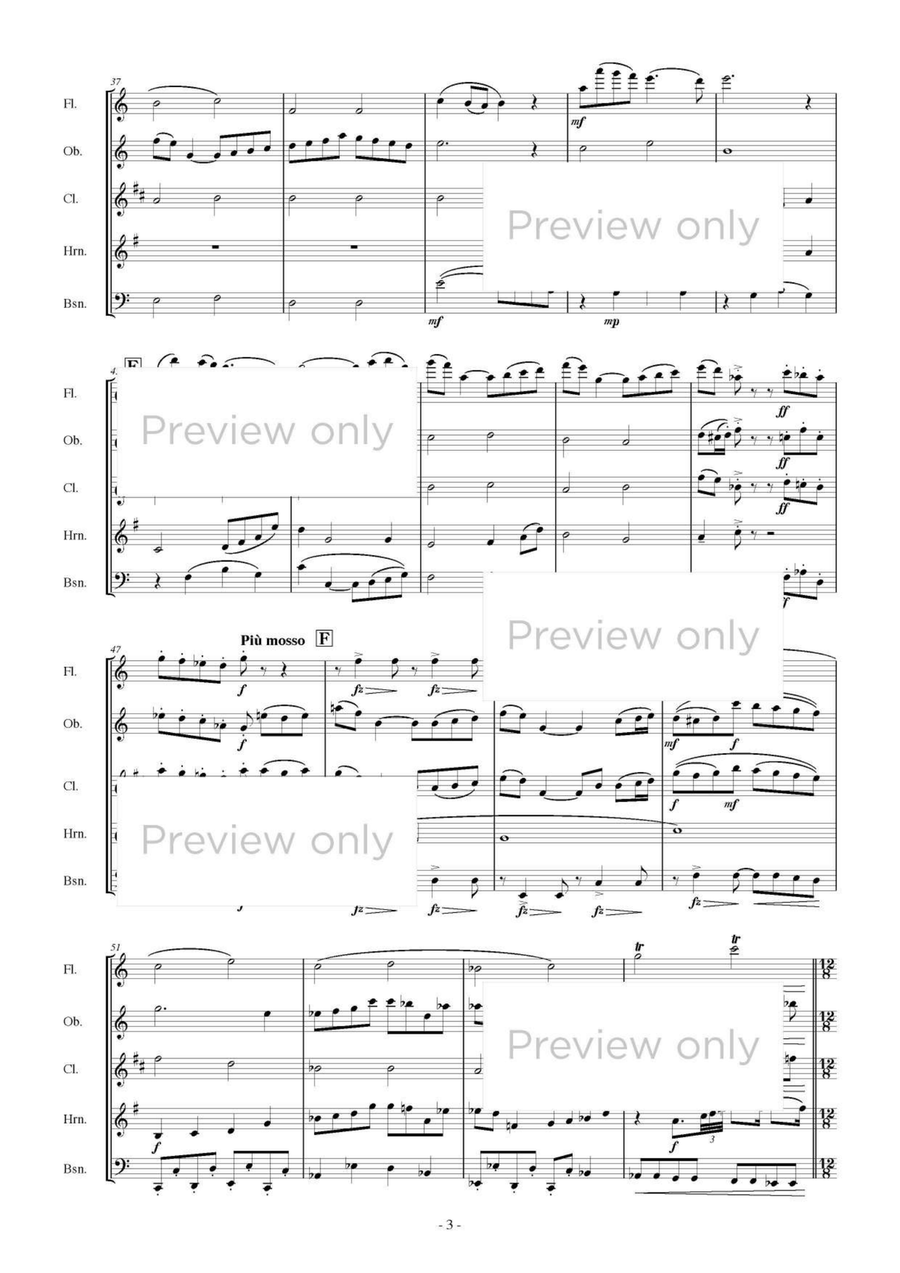 Hill of Mécénat - Woodwind Quintet Woodwind Quintet scores gallery preview page 4