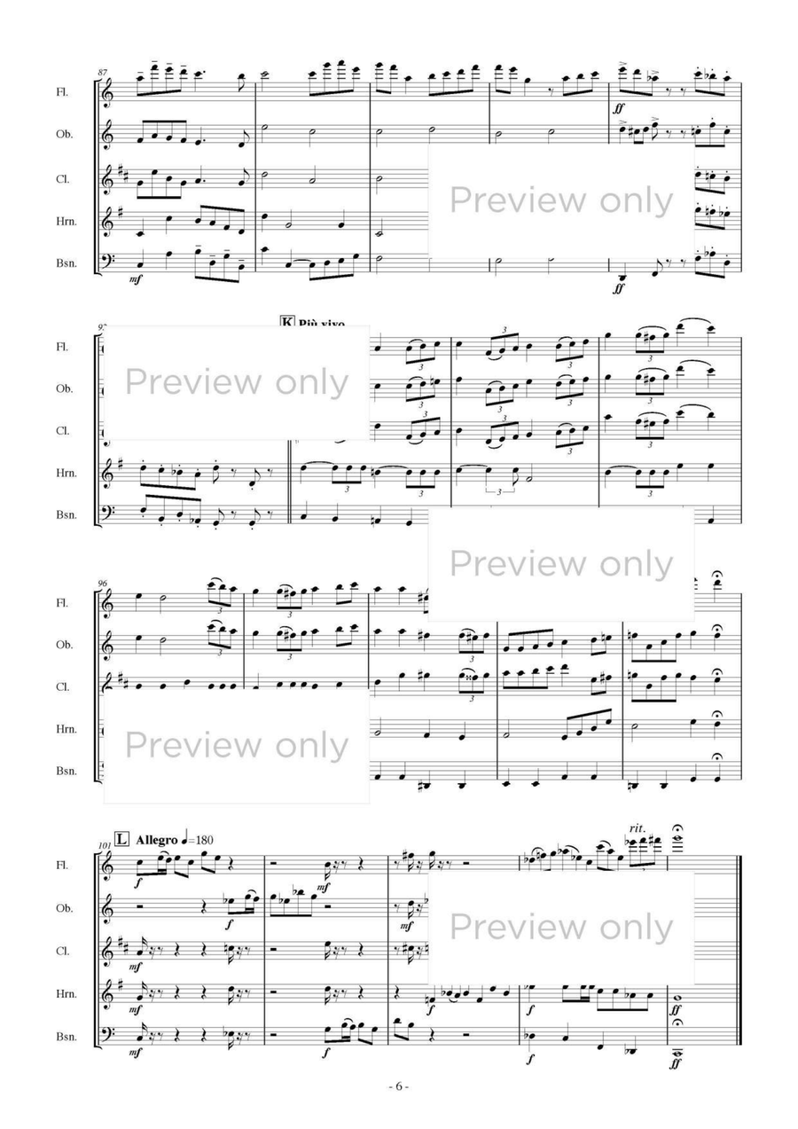 Hill of Mécénat - Woodwind Quintet Woodwind Quintet scores gallery preview page 7