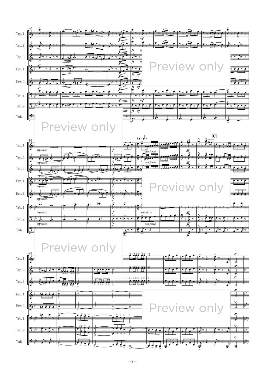 Die Fledermaus Fantasy - Brass Octet Horn scores gallery preview page 3