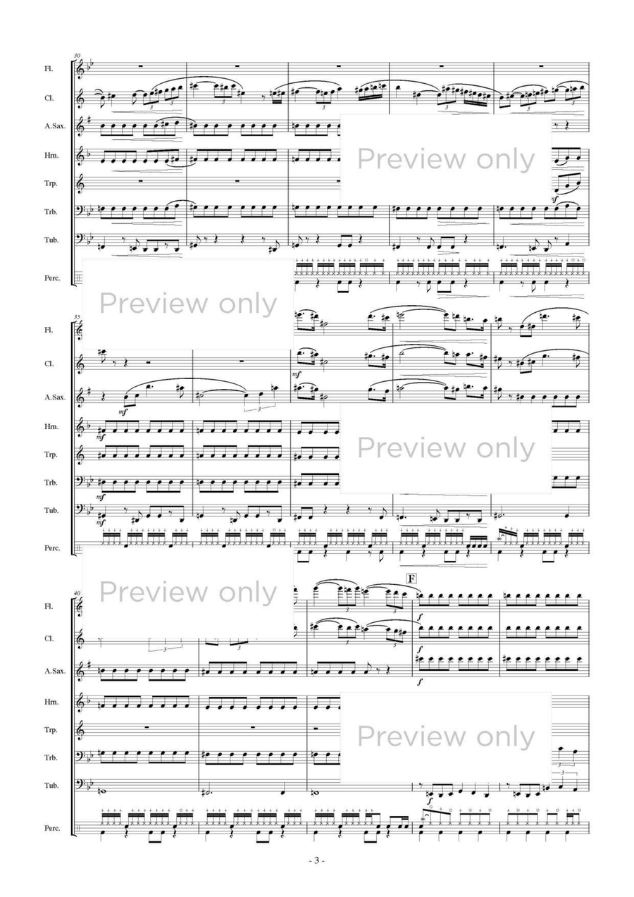 Taku Chi Sui - Wind & Percussion Octet Chamber Music scores gallery preview page 4