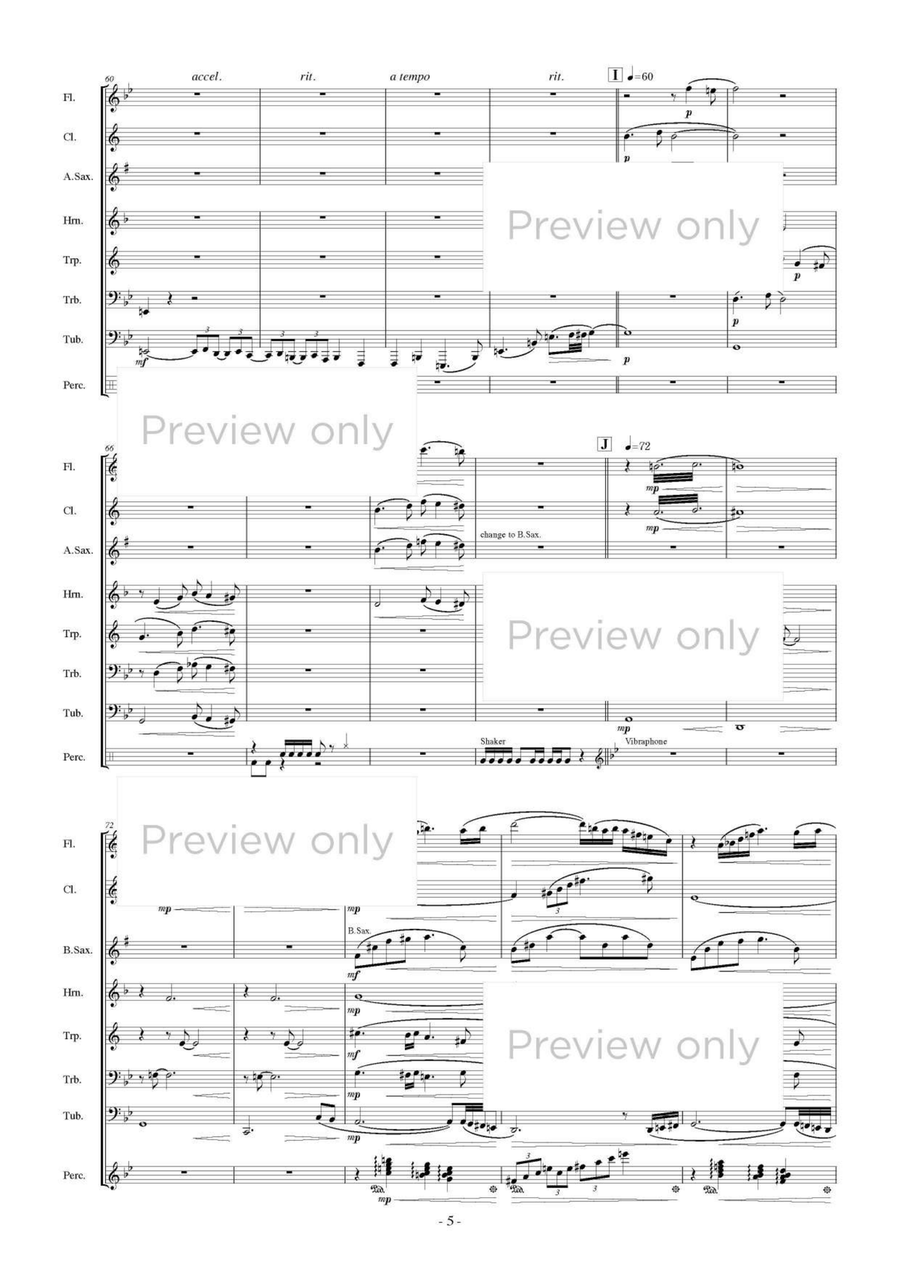 Taku Chi Sui - Wind & Percussion Octet Chamber Music scores gallery preview page 6