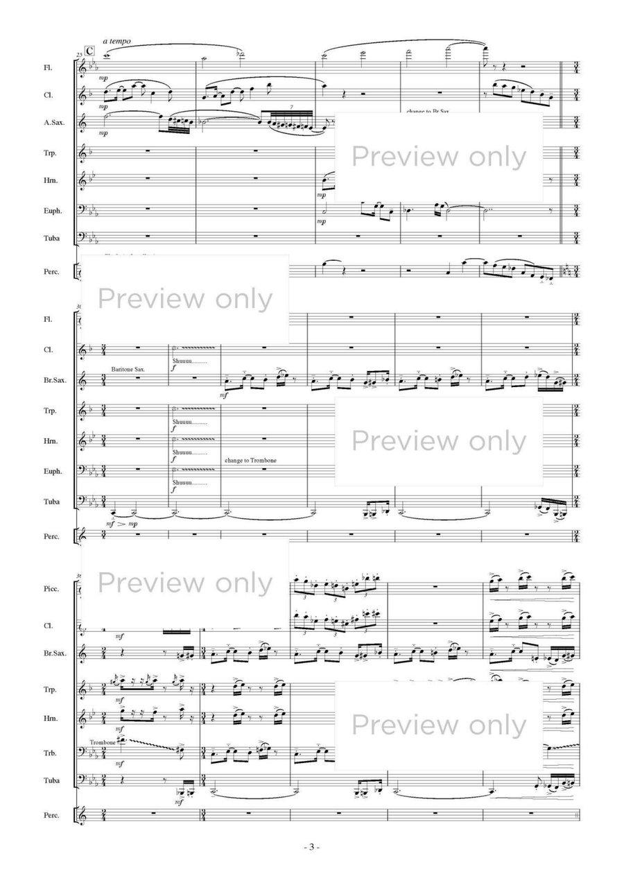 Haworthia - Wind & Percussion Octet Chamber Music scores gallery preview page 4