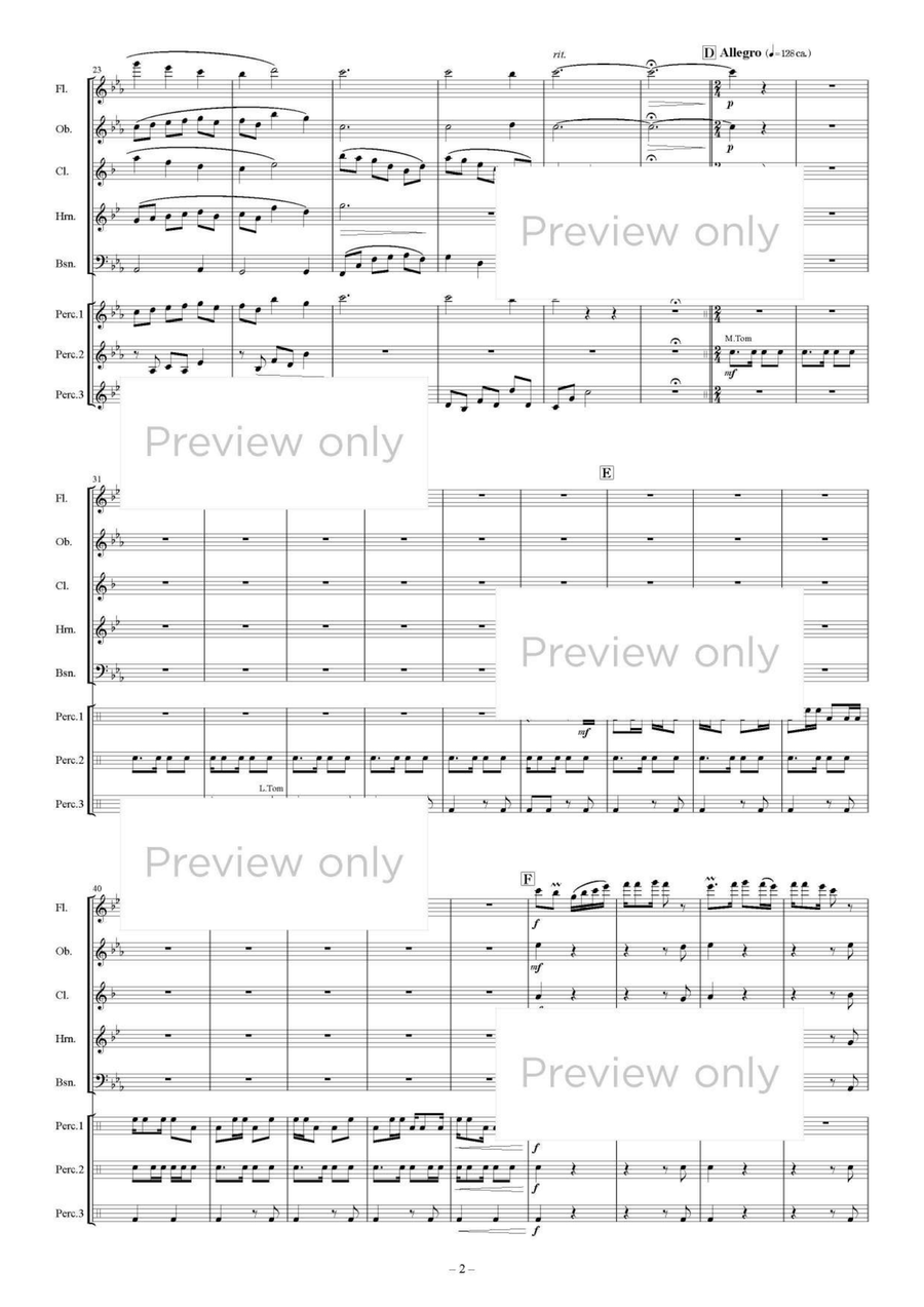 Village of Star Prayer - Woodwind & Percussion Octet Chamber Music scores gallery preview page 3