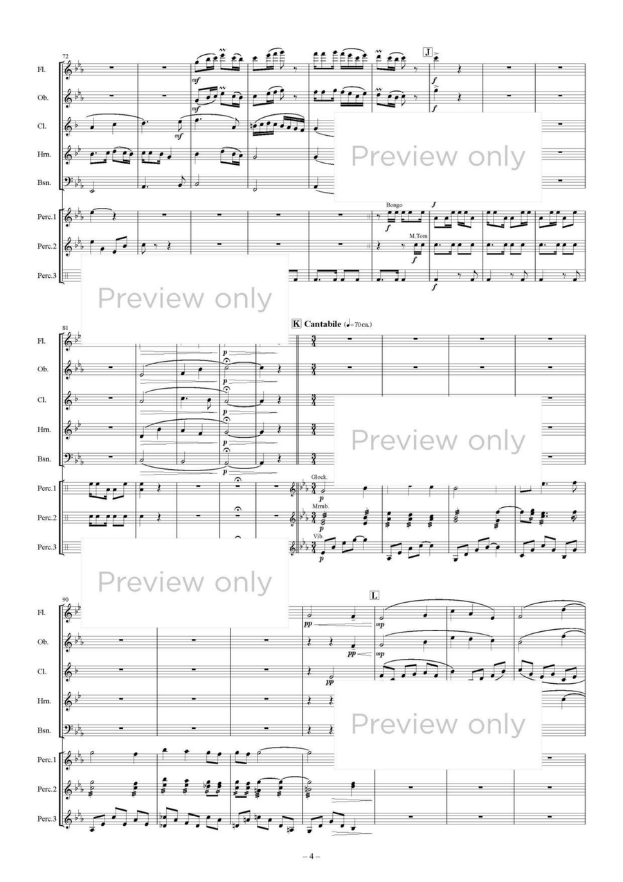 Village of Star Prayer - Woodwind & Percussion Octet Chamber Music scores gallery preview page 5