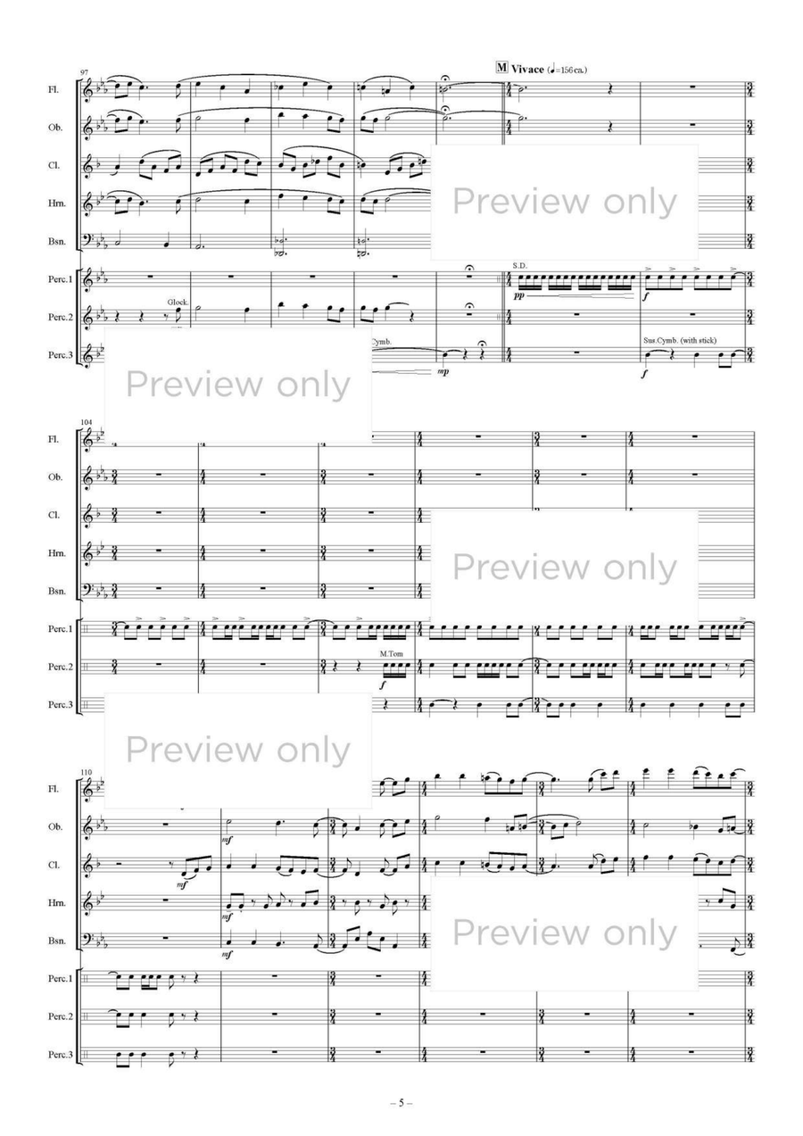Village of Star Prayer - Woodwind & Percussion Octet Chamber Music scores gallery preview page 6